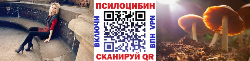 Псилоцибиновые грибы Psilocybine cubensis  Бабушкин 